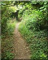 Monarch's Way near Salterton Farm in SP4 6AL