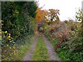 Bridleway off Waggon Lane in DY10 3NX