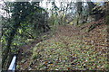 Footpath below Pen-y-cwarel in NP11 7LH