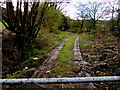 Public footpath near Ty Du Farm, Clyne in SA11 4BT