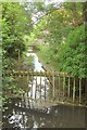 Mill stream, Lower Woodford in SP4 6NJ