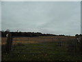 Field by Ebbisham Lane, Walton on the Hill in KT20 5DG