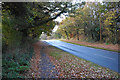 Autumnal colours by Wobaston Road in WV9 5HA