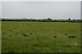 Grazing land by Waterbeach Rd in CB25 9FA