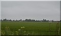 Flat farmland by the A10 in CB25 9NN