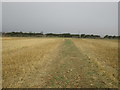 Footpath through a stubble field in LE14 4RJ