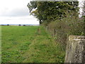 Field edge view from Berth Wood Triangulation Pillar in HR2 8QY