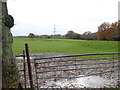 Looking across field to pylon in RH17 5QD