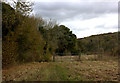 Path to Henley near Ash Plantation in RG9 4NT