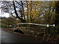 Footbridge on River Kit in EX13 7BP