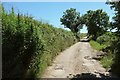 Track near Little Treffry in TR2 4AU
