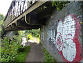 Graffiti on the former railway bridge No 60A in WV6 8LY