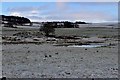 Frosty fields at Pathhead in Mansfield (East Ayrshire)