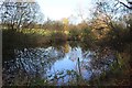 Pond near Rydiness Farm in Autumn in TA20 3JW