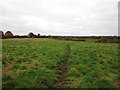 Footpath to Hayton in DN22 6SQ
