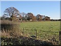 Farmland south of Croydon Barn Lane in RH6 9JY