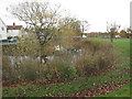 The pond on Cranswick Green in YO25 9PE