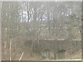 Aqueduct in West Wellbank Wood in DD5 3PN