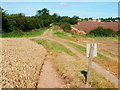 Footpath and farm track in Grove