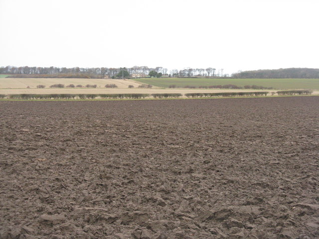 New plough at Queenstonbank in EH39 5AG