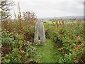 Hill of Kirriemuir triangulation pillar in DD8 4DW
