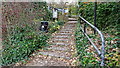 Leafy exit steps from canal towpath in UB8 2WA