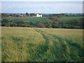 View across the valley of Camrose Brook in SA62 6HH