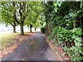 Footpath alongside Simonsway in M22 5HF