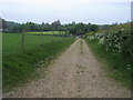 Bridleway heading down to Little Lawford in CV23 9BG