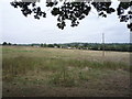 Farmland towards the M25 Motorway in EN6 5QE