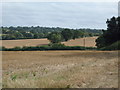 Stubble field off Berkhamsted Lane in SG13 8LU
