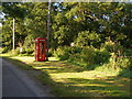 Red telephone box in NR29 3JB