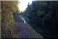 Grand Union Canal tow path near Marshcroft Lane bridge in HP23 5JW