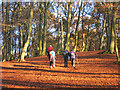 Walkers in Pullingshill Wood in SL7 2QR
