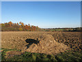 Ploughed Field, Lower Woodend in SL7 2HW