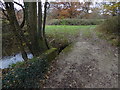 Footbridge over stream in RH13 8AH