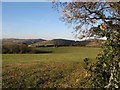 Pasture above Bryn-ffanigl Uchaf in LL22 8PL