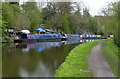 Narrowboats moored along the Staffordshire and Worcestershire Canal in DY3 4NQ
