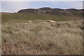 Dunes and machair, Machir Bay in PA49 7UX