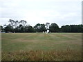 Cricket ground, Upper Green in AL6 0LZ
