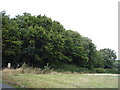 Woodland beside Orchard Road in AL6 0LZ