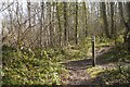 Waymarks, Sallow Coppice in SY7 9QS