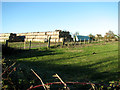 Stacks of straw and silage bales beside Marsh Road in Halvergate