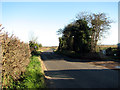 View along Marsh Road in Halvergate