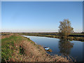 The Great Ouse near Little Thetford in CB6 3HZ