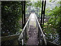 Cable Stayed Footbridge over the River North Esk in DD9 7WE