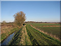 Footpath by Grunty Fen Catchwater Drain in CB6 3JB