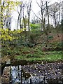 Tributary of Northcliff Dike, Northcliffe Woods in BD9 6RD
