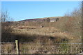 Reed beds, Garn Lakes LNR, Garn-yr-erw in NP4 9SF