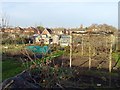 Elm Street Allotments in DE72 3LL